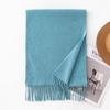 Imitation Cashmere Scarf with Wool Tassel Scarf for Men and Women Versatile Solid Color Fashion Commuting Warm Scarf Shawl