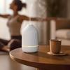 2-in-1 Soundwave Technology Diffuser LED Mood Light Essential Oil Diffuser  Home Decor