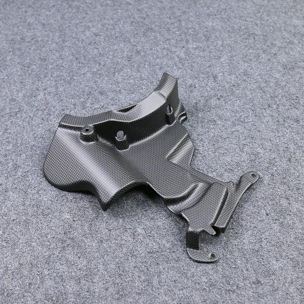 Ducati Streetfighter V2 Carbon Fiber Engine Cover