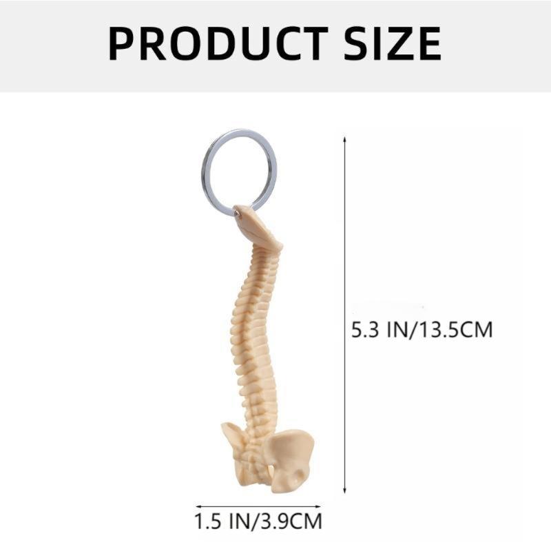Detailed Human Spine Skeleton Keychain Anatomical Model Key Chain for Teaching and Ornamentation Doctor Accessories