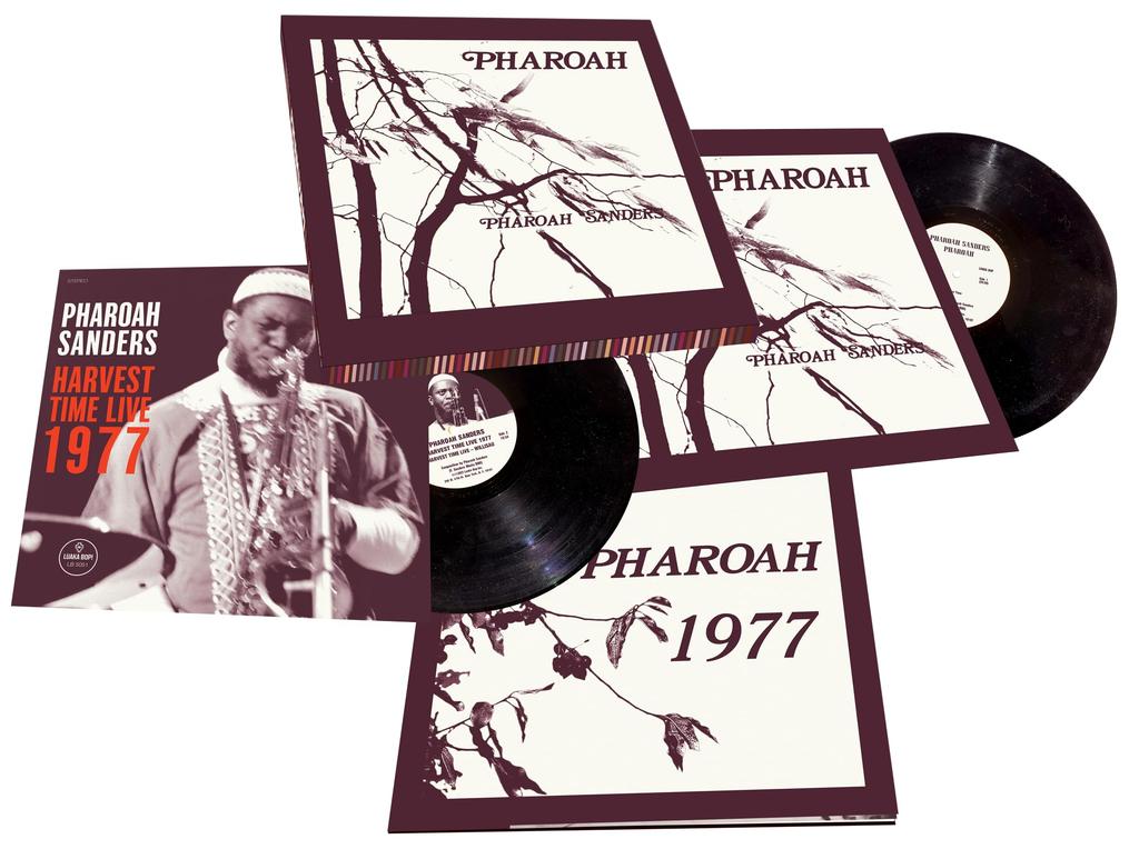 PHAROAH Inch [12 Analog]