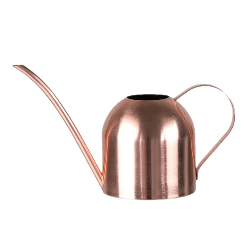 Stainless Steel 1.5L Long Spout Watering Can - Large Capacity Portable Garden Sprinkler