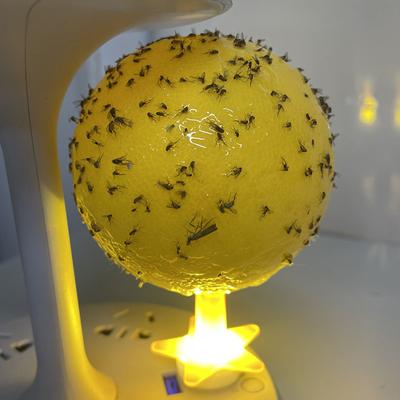 Trappola da cattura per interni con sorgente luminosa USB e fondo fortemente adesivo per catturare