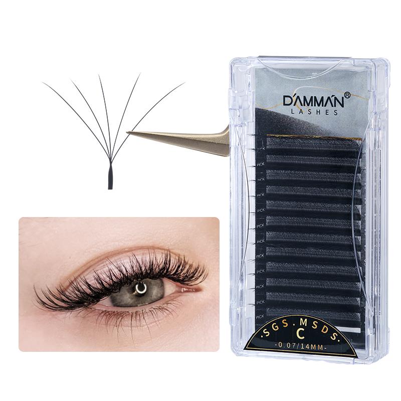 

Damman 12 lignes 5D en forme W cils D volum de rideux Extensions de cils 0,05 mm d épaisseur Fornitures d extension de cils faits à la main