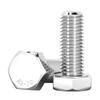 304 Stainless Steel Hex Head Bolt & Nut Set (50-Pack)