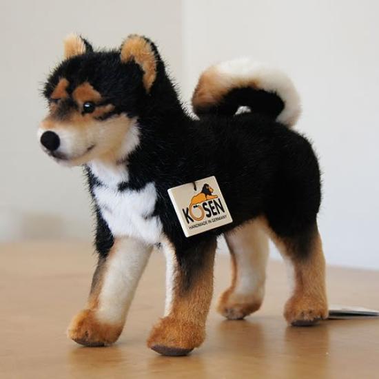 

Косен [Сиба-ину, Чёрный] чёрный