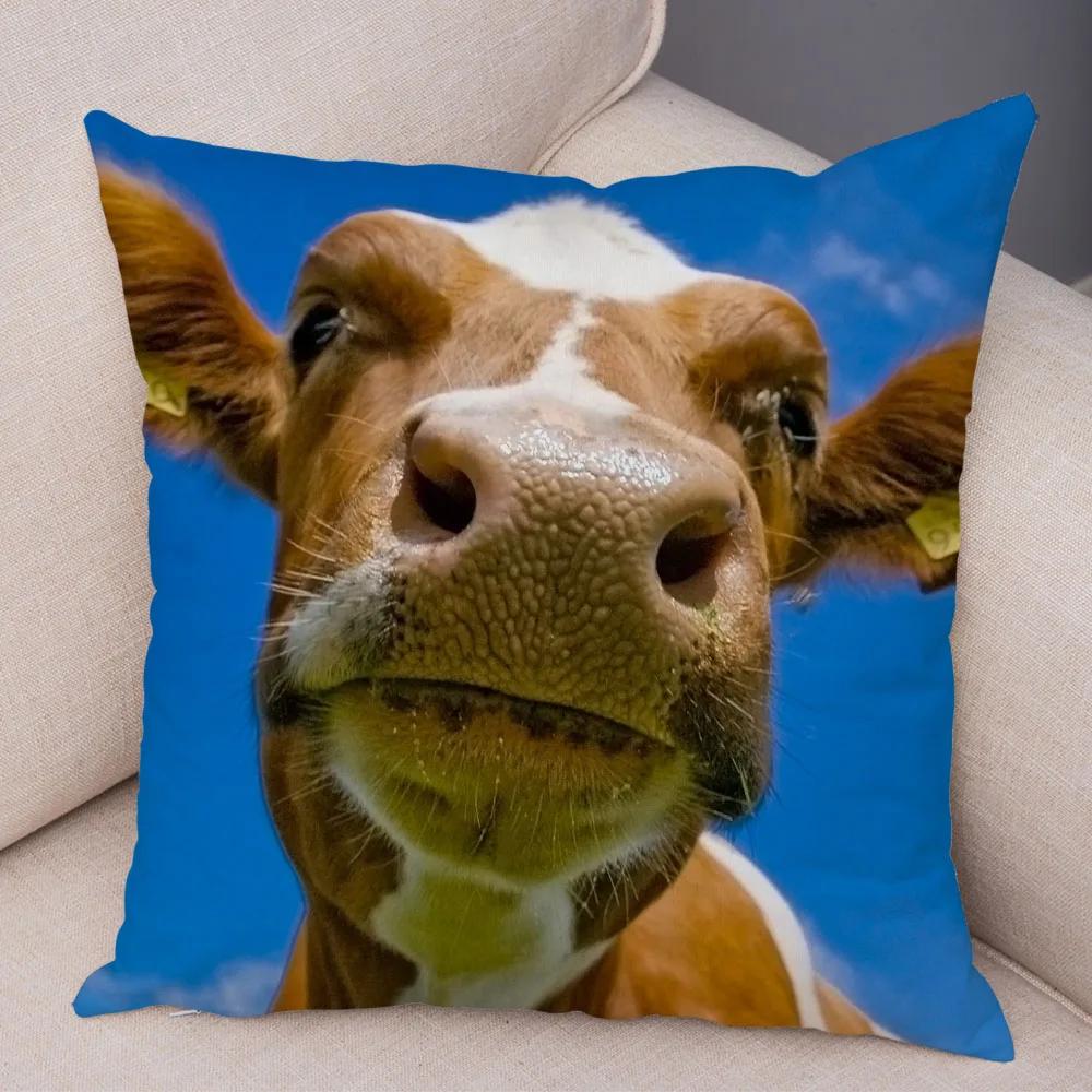 Scotland Kyloe Pillow Case Decor Wild Cow Colorful Animal Print Pillowcase Soft Short Plush Cushion Cover for Home Sofa 45x45cm