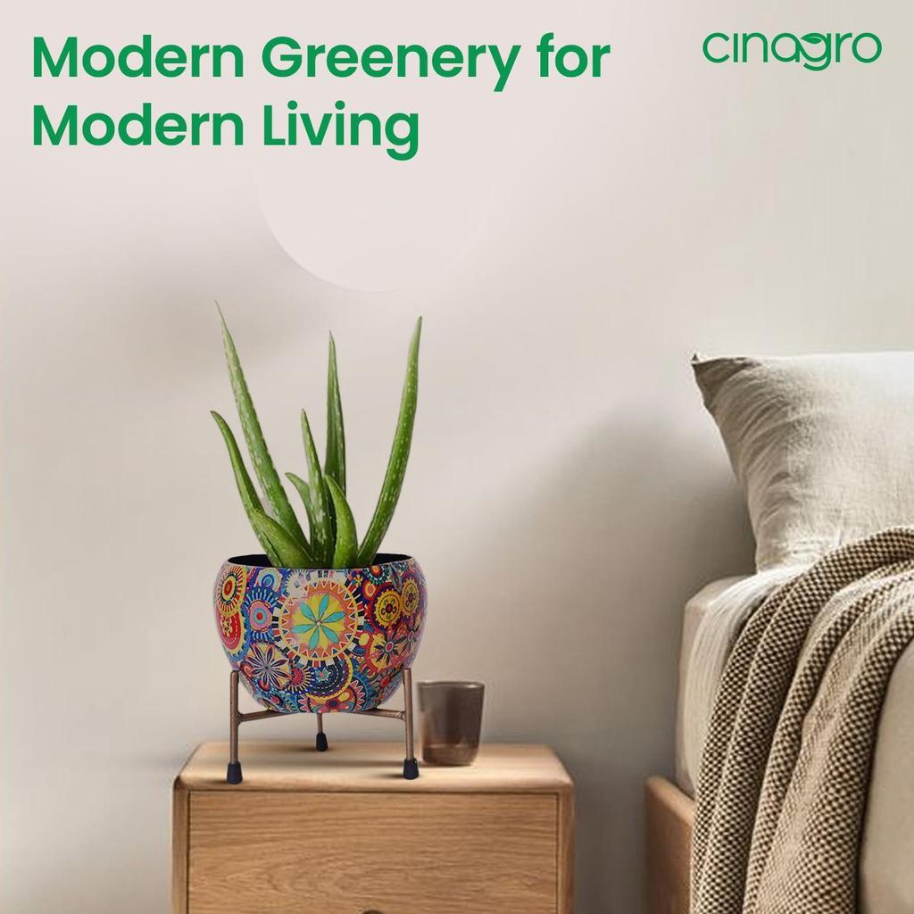 Pots for Plants, Plant Pots for Home Decoration, Succulent Pot, Indoor Planter Garden Decor (Size: 6X6 inch) Style: Mandala Fusion Spectrum