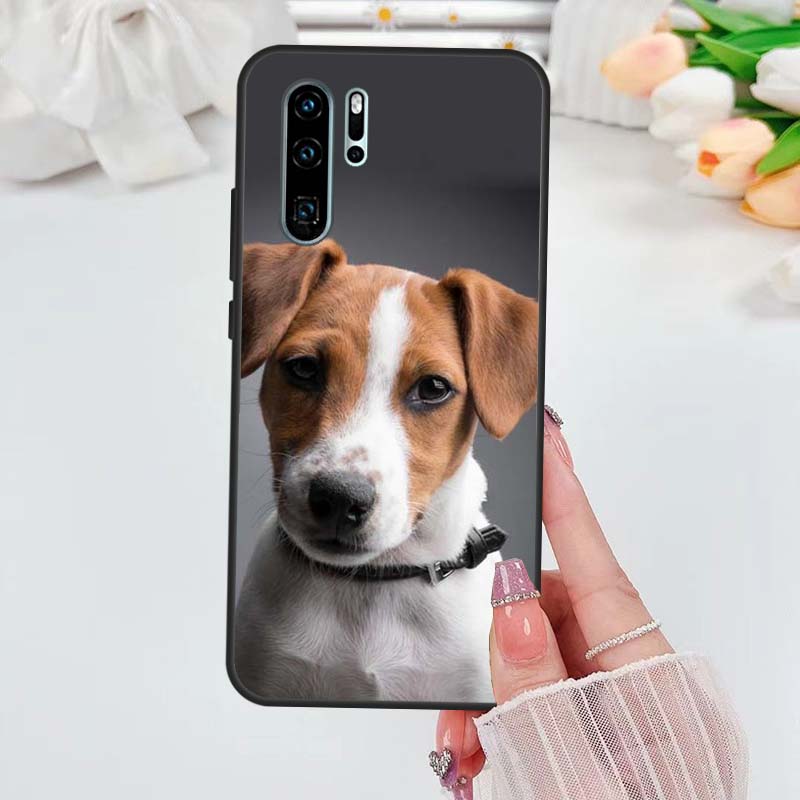 Jack Russell Terrier Dog Case For Huawei Nova 5T 3i 7i 8i 11i 10 9 SE Y60 Y61 Y70 Y90 P20 P40 Lite P60 P30 Pro Cover
