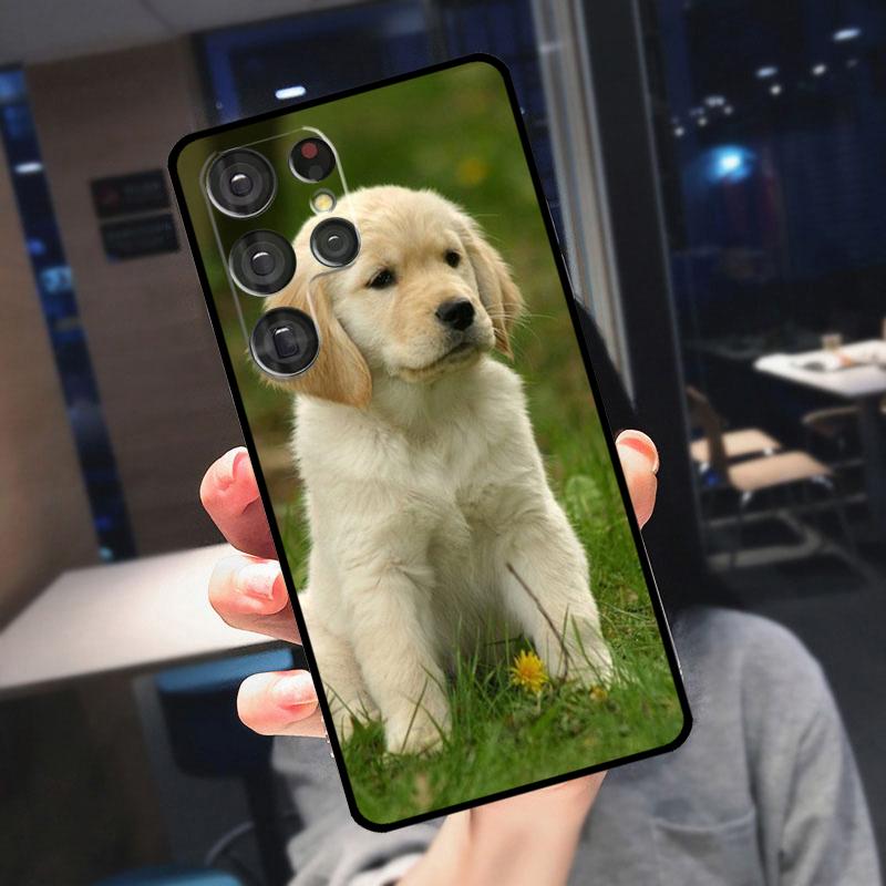 

Golden Retriever Dog Cover For Samsung Galaxy S24 Ultra S25 S22 S23 Plus S20 S21 FE S9 S10 S23 FE Phone Case Galaxy S24 Plus