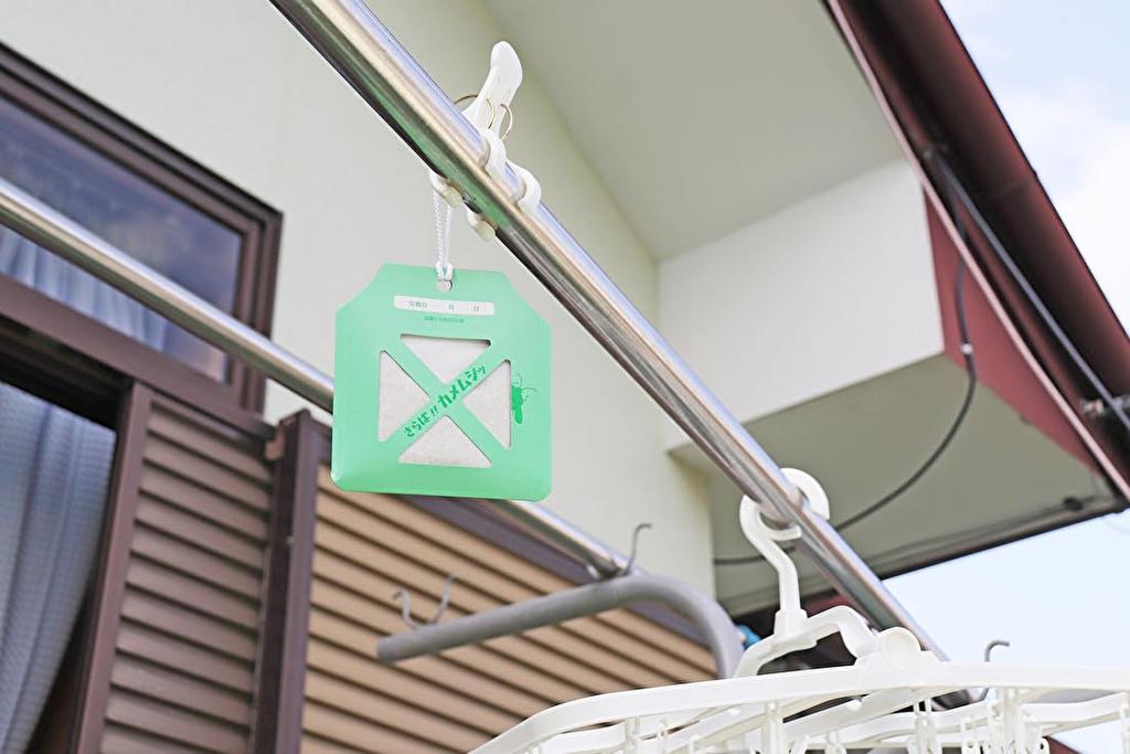 Bulk Hanging Stink Bug Hang on a Balcony or Under an Eaves to Keep Stink Bugs Effective for Approximately 60 Effective Range of Approximately 1m in