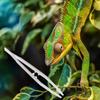 Anti-static Straight Tweezer Animal Feeder Clamp Reptile Feeding Tweezer Tortoise Feeding Tongs