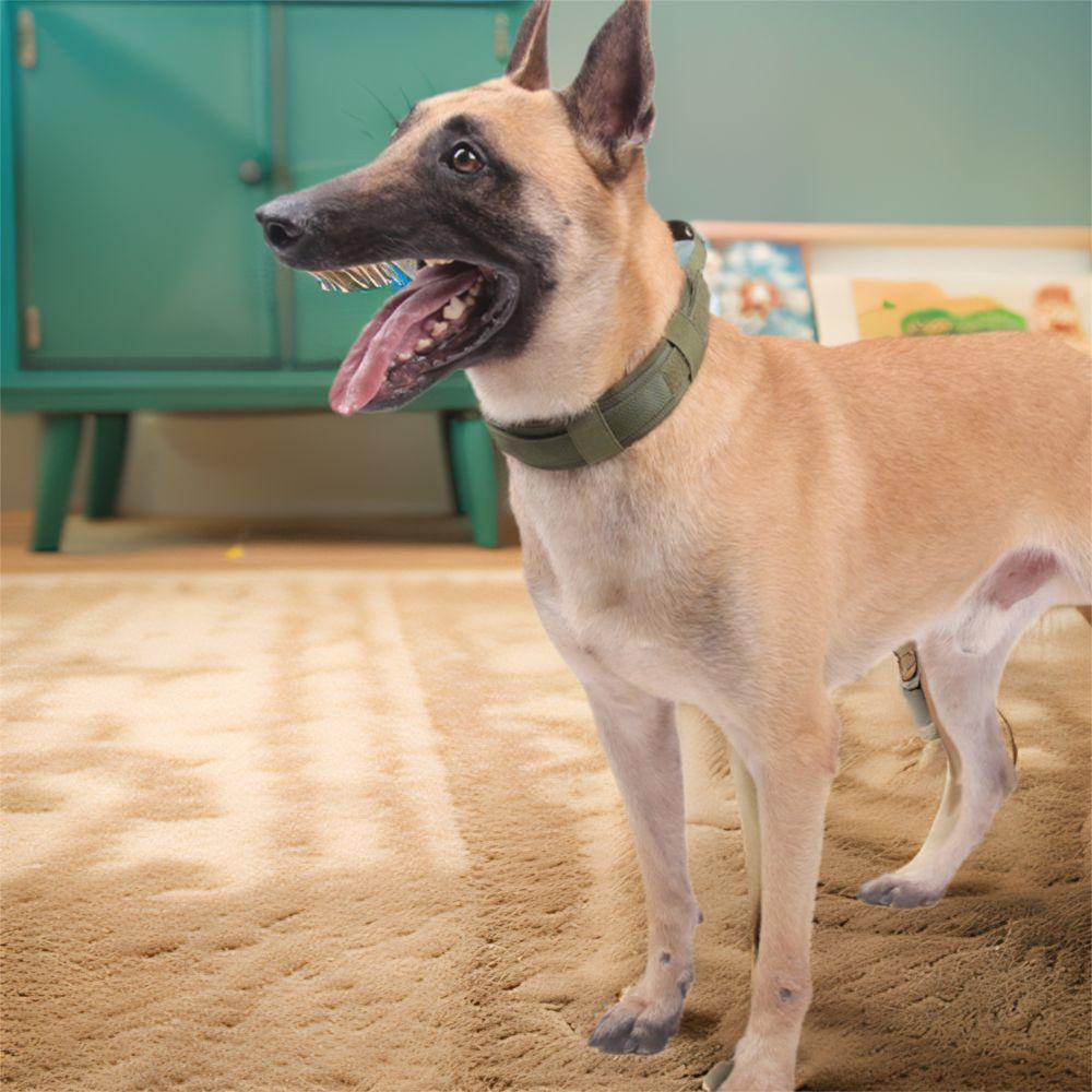 Practical Adjustable Dog Training Collar Breathable Heavy Duty Dog Rivet Collar Metal Buckle Dog Neck Collar German Shepherd