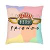 Classic Friends Tv Show Cushion Cover 40X40 Home Decor 3D Print Throw Pillow For Living Room Double Side