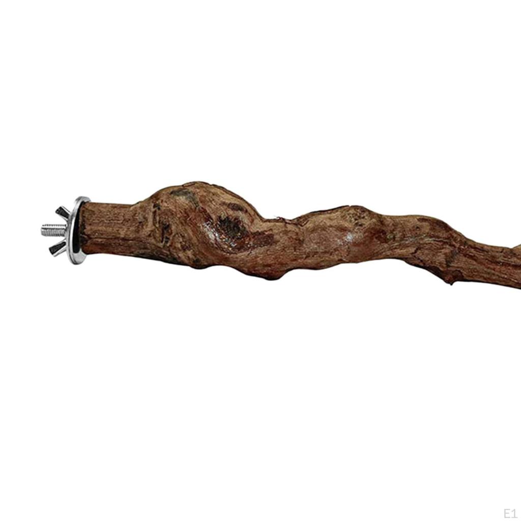 Parrot Bird Stand Tree Branch Resk Holder Toys Perches for Grinding Rest Pet Supplies