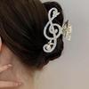 Women's Hair Daily High Note Big Clip