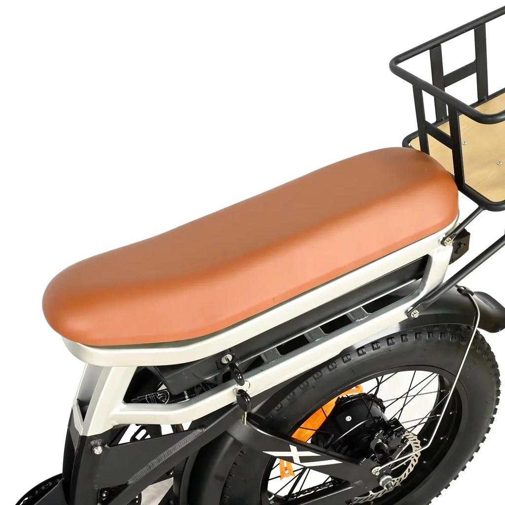 BAOLUJIE DP2033 Electric Bicycle 2000W Dual Motor 48V30AH Lithium Battery 20*4 Inch Fat Tire Mountain Electric Bike