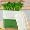 Cultivation Sprout Growing Tray Horticultural Tool Convenient Sprouting Tray Sprout Planting Helper Multifunctional