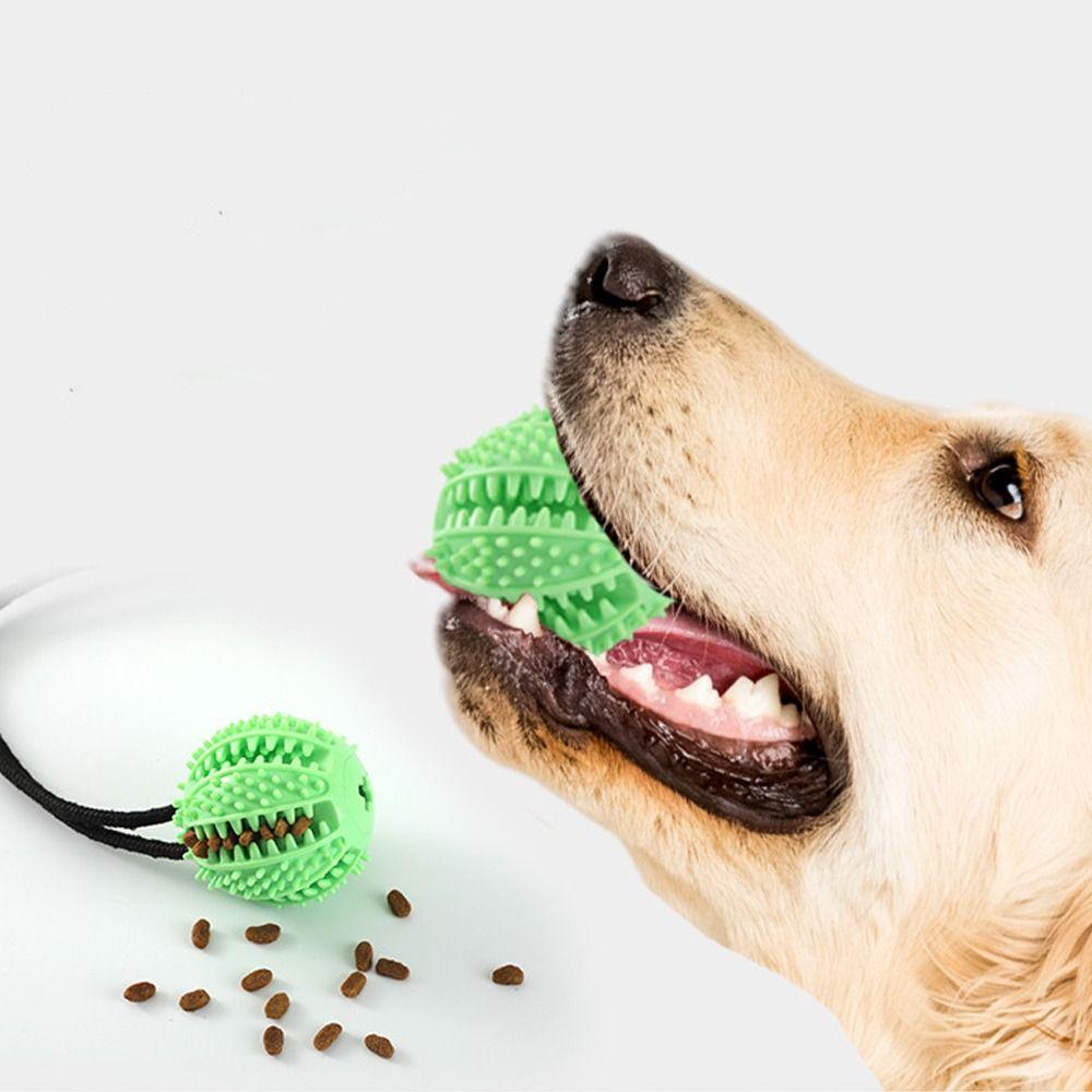 Bite Resistant Suction Cup Dog Toy TPR Dog Tug Toy Dog Leakage Toys  For Dogs Puppy