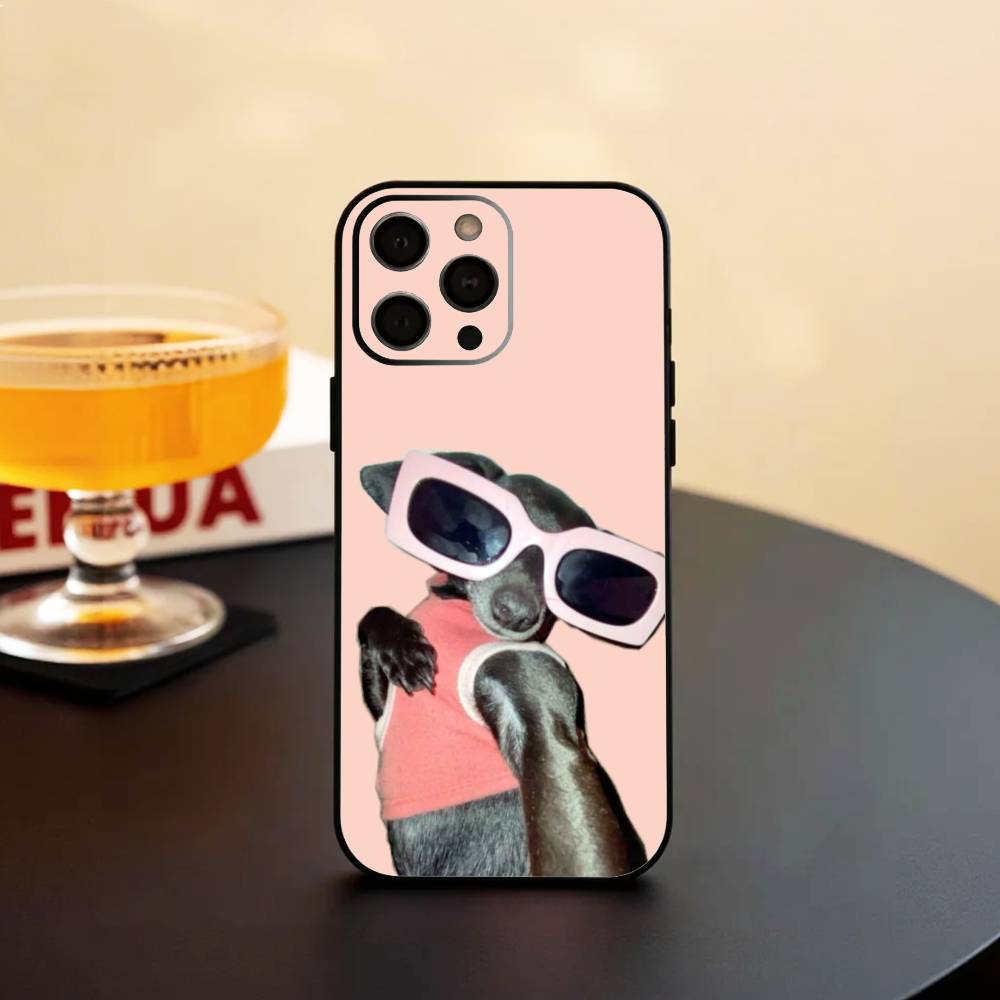 T-The Memes Of C-Chihuahua   Phone Case Silicone Soft For IPhone 17 16 15 14 13 12 11 X XR Plus Pro Max Plus