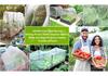 Thickened Agricultural Insect & Bird Proof Net for Greenhouses & Fruit Trees