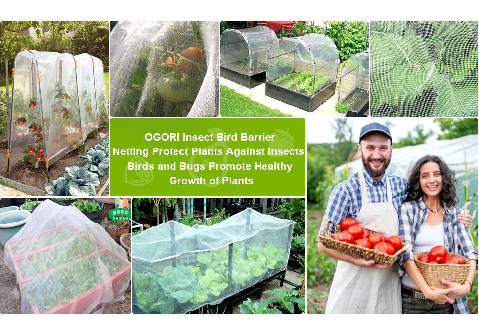 Thickened Agricultural Insect & Bird Proof Net for Greenhouses & Fruit Trees