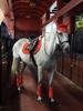 Six-Piece Equestrian Set: Ear Covers, Saddle Pads, Leg Wraps, Halters, Lead Ropes, and Matching Tack