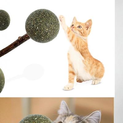 Catnip Ball Lollipop Matatabi Chew Stick Toy for Cats