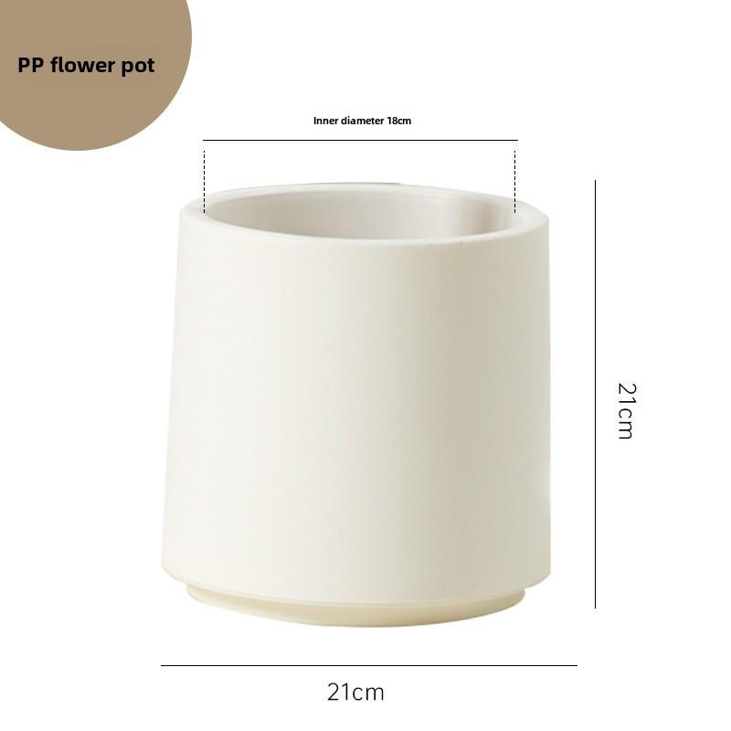 Popular Indoor Areca Palm Potted Plant - Large Green Decoration for Living Room