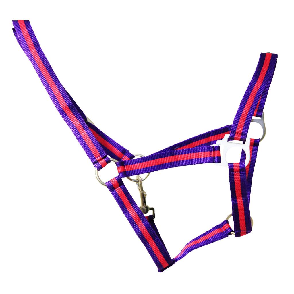 Hy Duo Head Collar
