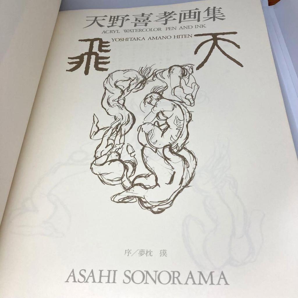 [USED] Yoshitaka Amano Hiten and Maten Art Book Set of 2