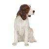 Something Different Springer Spaniel-Ornament aus Kunstharz
