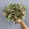 8 Heads Fake Plastic Plants Realistic Faux Plants Simulation Greenery  Home Living Room Decor