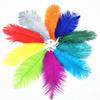 10Pcs Natural Dyed Fluffy Soft Ostrich Feather Handmade Diy Embroidery Feather Jewelry Making Dress Wedding Dress