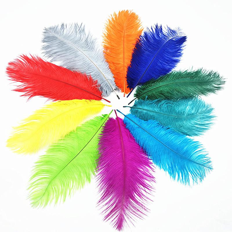 10Pcs Natural Dyed Fluffy Soft Ostrich Feather Handmade Diy Embroidery Feather Jewelry Making Dress Wedding Dress