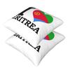 Vlag van Eritrea 2 Stuks Vierkante Kussensloop Kussenhoes Kussen Rits Decoratief Comfort Plaid Kussen Voor Huis Auto
