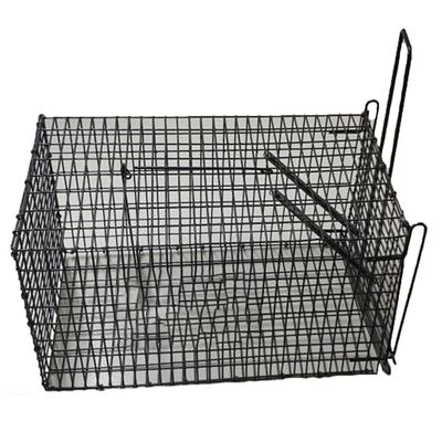 Ratoeira de Mola de Arame (ampla)
