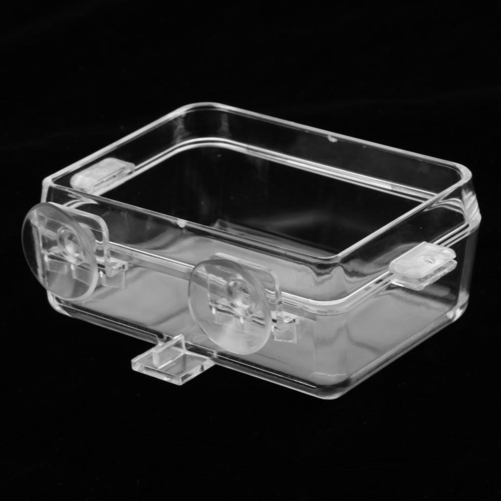 Transparent Reptile Feeding Dish food Bowl for & Amphibians