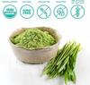 250g Organic Barley Grass Powder |USDA Certified | PREMIUM Grade