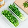 Refrigerator Keep Fresh Organizer Rectangular Fruit Vegetable Storage Containers Box Household Kitchen Food Sealed Box Wholesale
