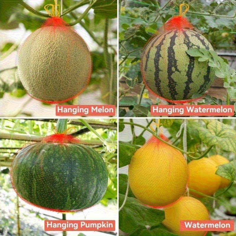 100 One Watermelon Net-Durable Melon Hammock, Suitable for Garden, Reusable Net Pocket, Suitable for Melon, Ideal Stand Support.