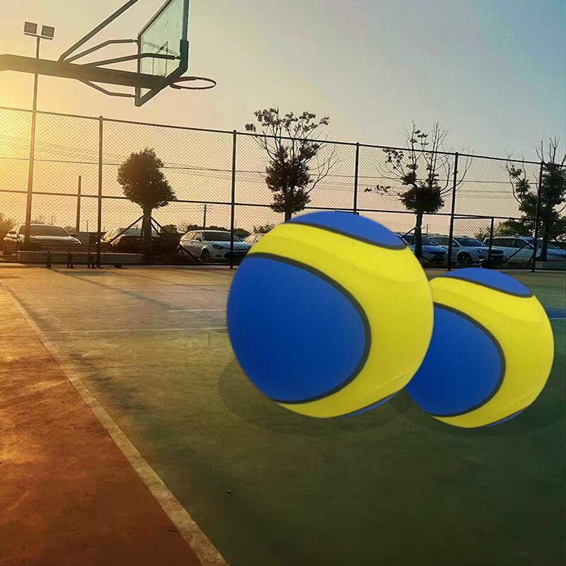 LISM Upgraded Silent Basketball