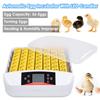 Digital 56 Egg Incubator Chicken Hatcher Temperature Control Automatic Turning - Intl 110V