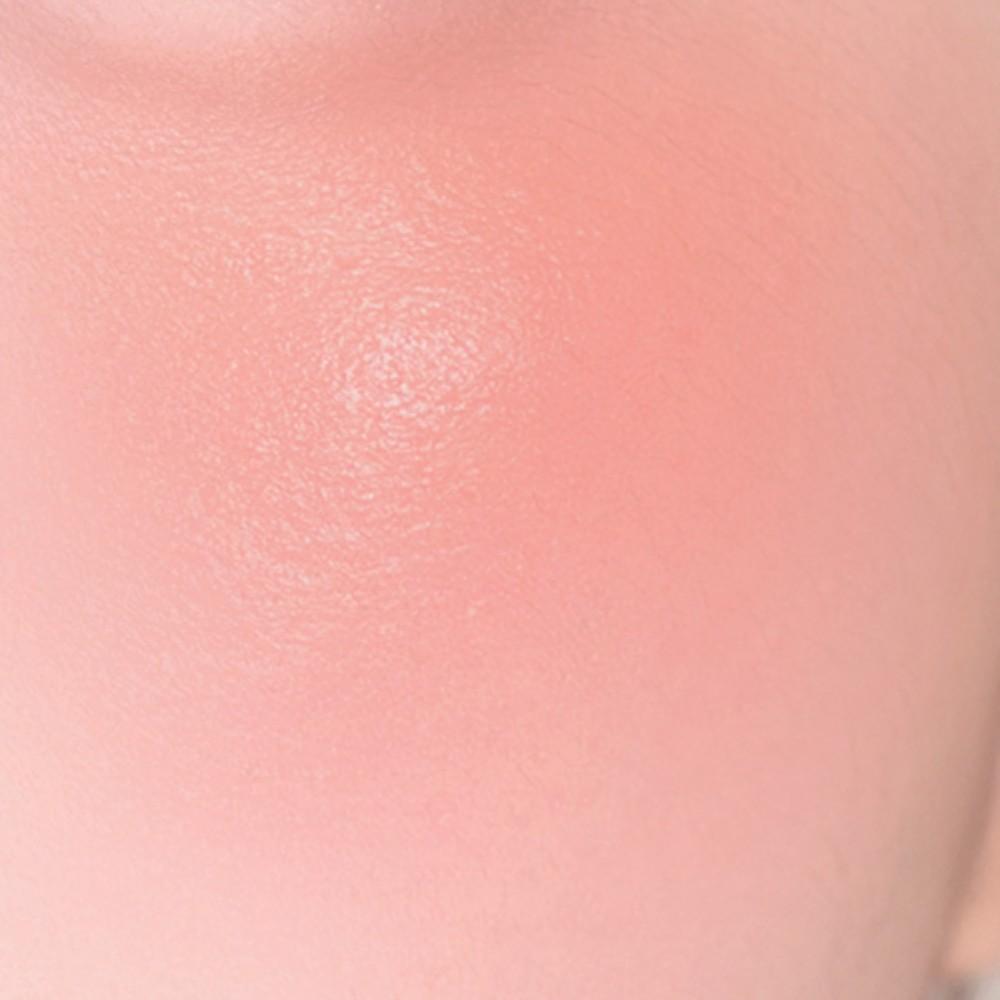 CLIO Essential Lipcheek Tap 4.5g (Dewy/Blur)