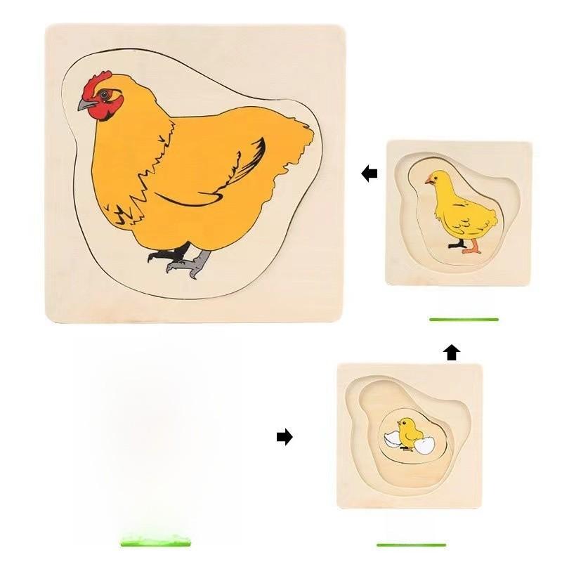 Children 3d Wooden Body Parts Puzzle Toy Anatomy Recognition Brain Development