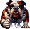 QT2305#15cm Bulldog Agresivo con Collar de Pinchos y Cadenas Pegatina Calcomanía de Vinilo - Resistente a los Arañazos de Alta Calidad para Múltiples Superficies: Coche, SUV, Camión, Portátil