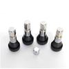 Pacific Industry .PACIFIC TR413S Genuine Sleeve Set of 4 (Includes 1 Spare Cap) Tubeless Valve, Snap-in Valve