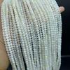 Handmade DIY Natural Freshwater Shell Round Loose Beads Rope Necklace