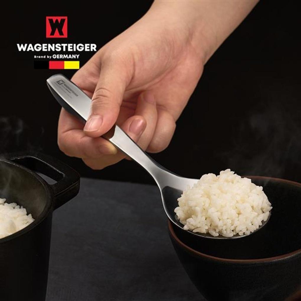 WAGENSTEIGER Rostfri Risspatel