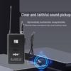 797audio DW612 Dual Wireless Microphone System (CN version)